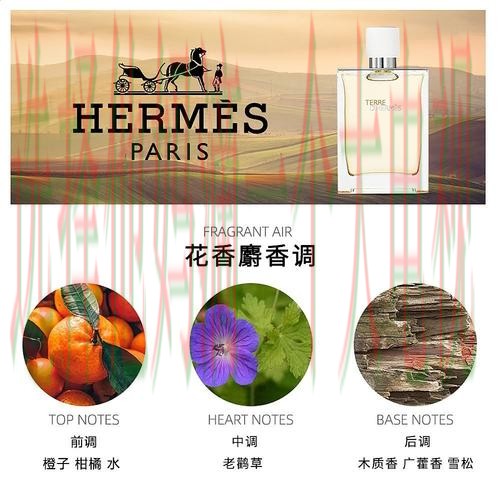 亚盈体育网页版登录入口