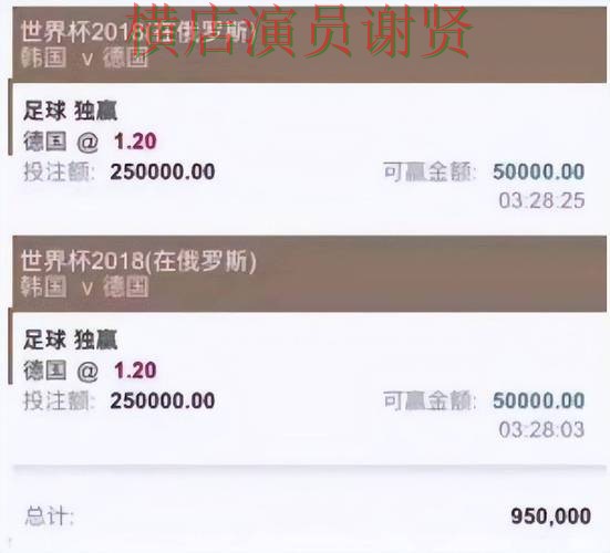 B体育世界杯投注网站大全与平台对比评测